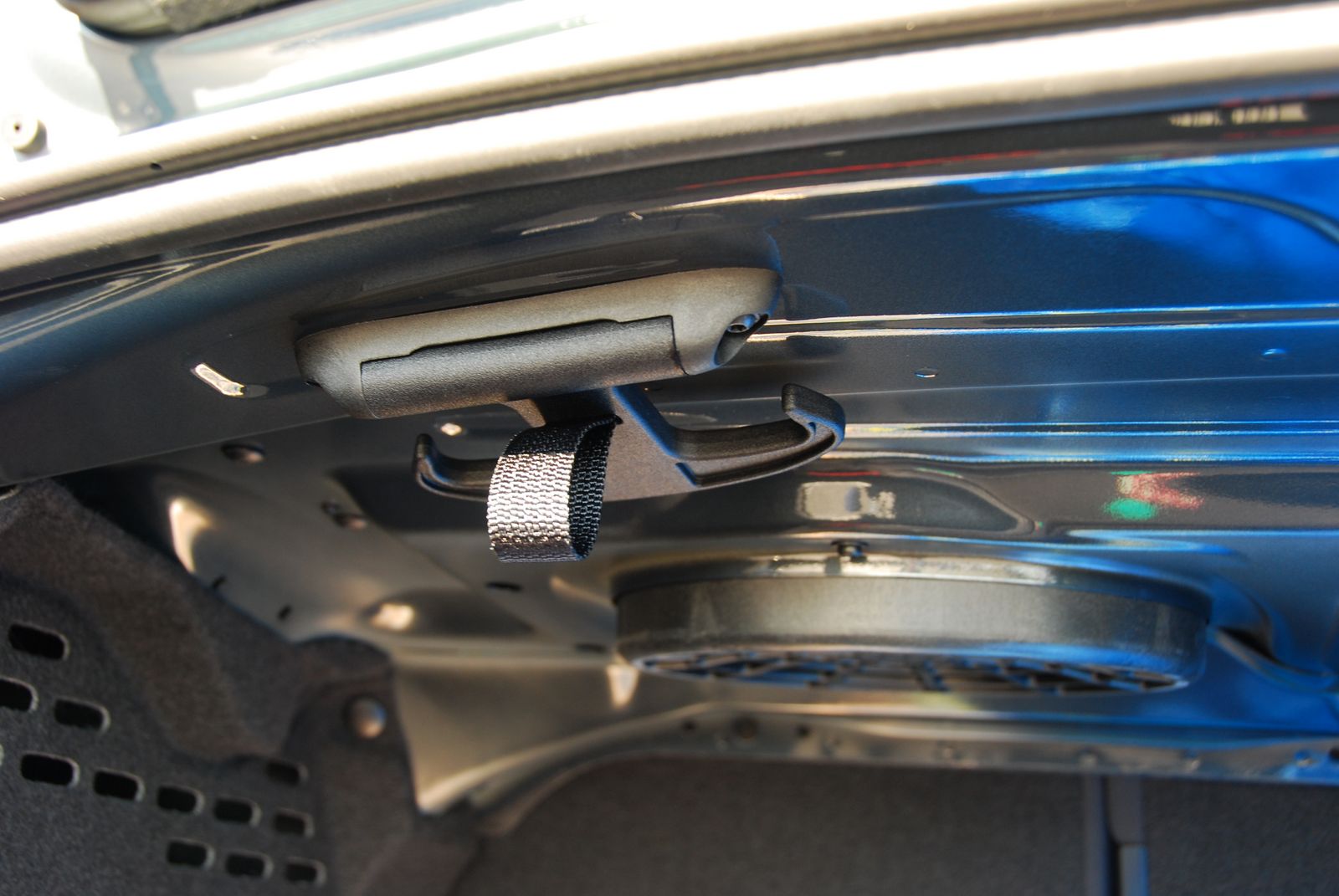 trunk2.jpg
