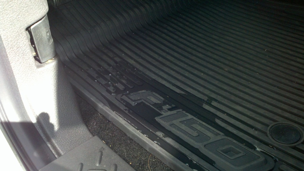 Ford sunroof leaks #8